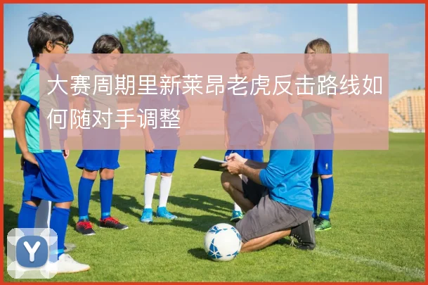 大赛周期里新莱昂老虎反击路线如何随对手调整