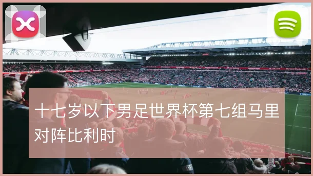十七岁以下男足世界杯第七组马里对阵比利时