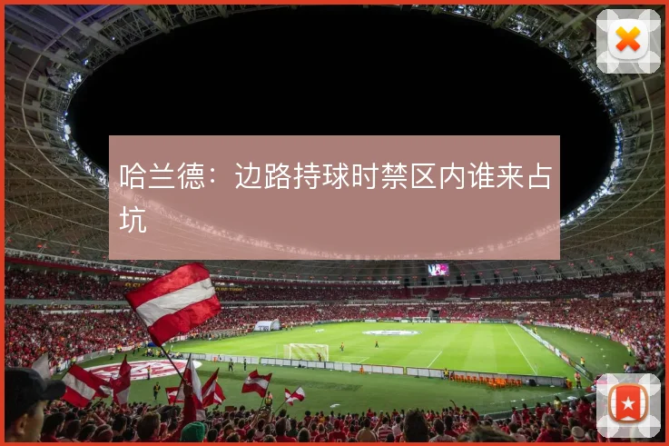 哈兰德：边路持球时禁区内谁来占坑