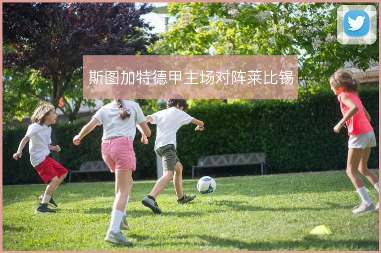 斯图加特德甲主场对阵莱比锡