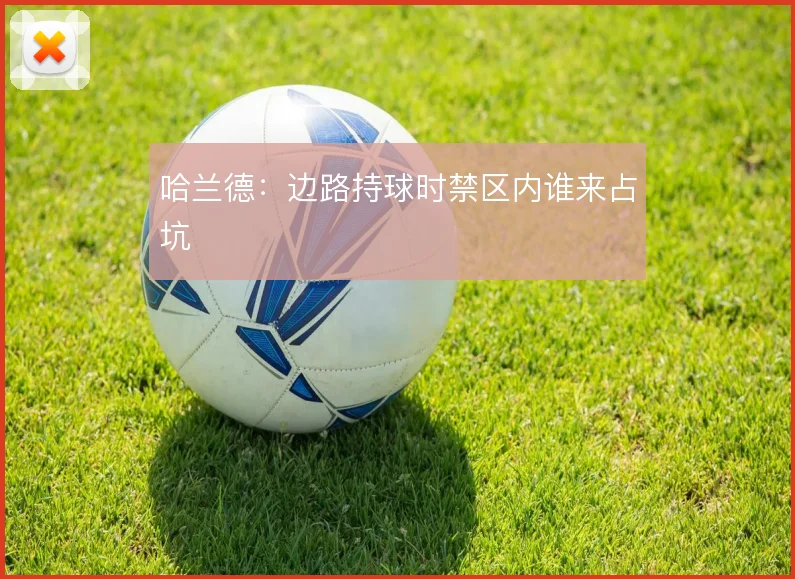 哈兰德：边路持球时禁区内谁来占坑
